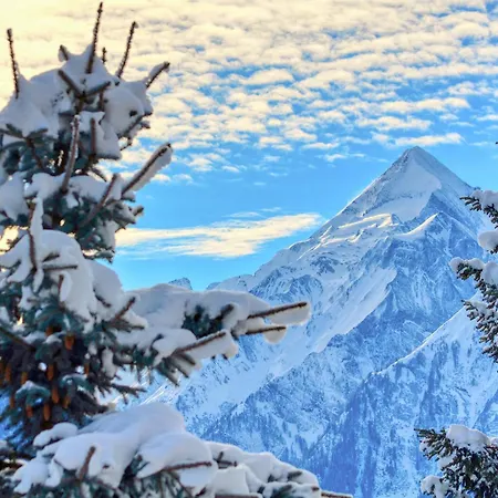 Leon - By Alpen Zell am See